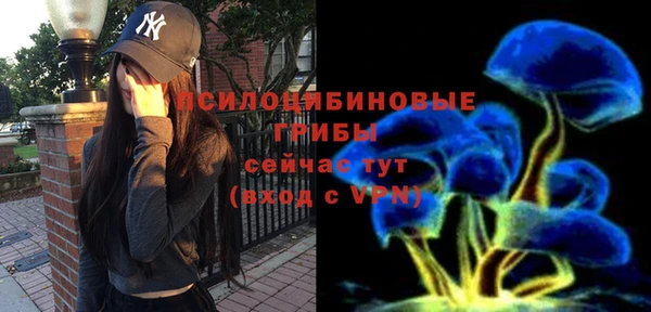 крисы Медвежьегорск