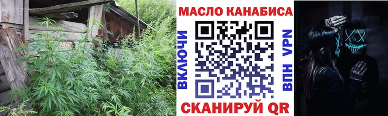 Купить закладки  Петров Вал  ТГК концентрат 